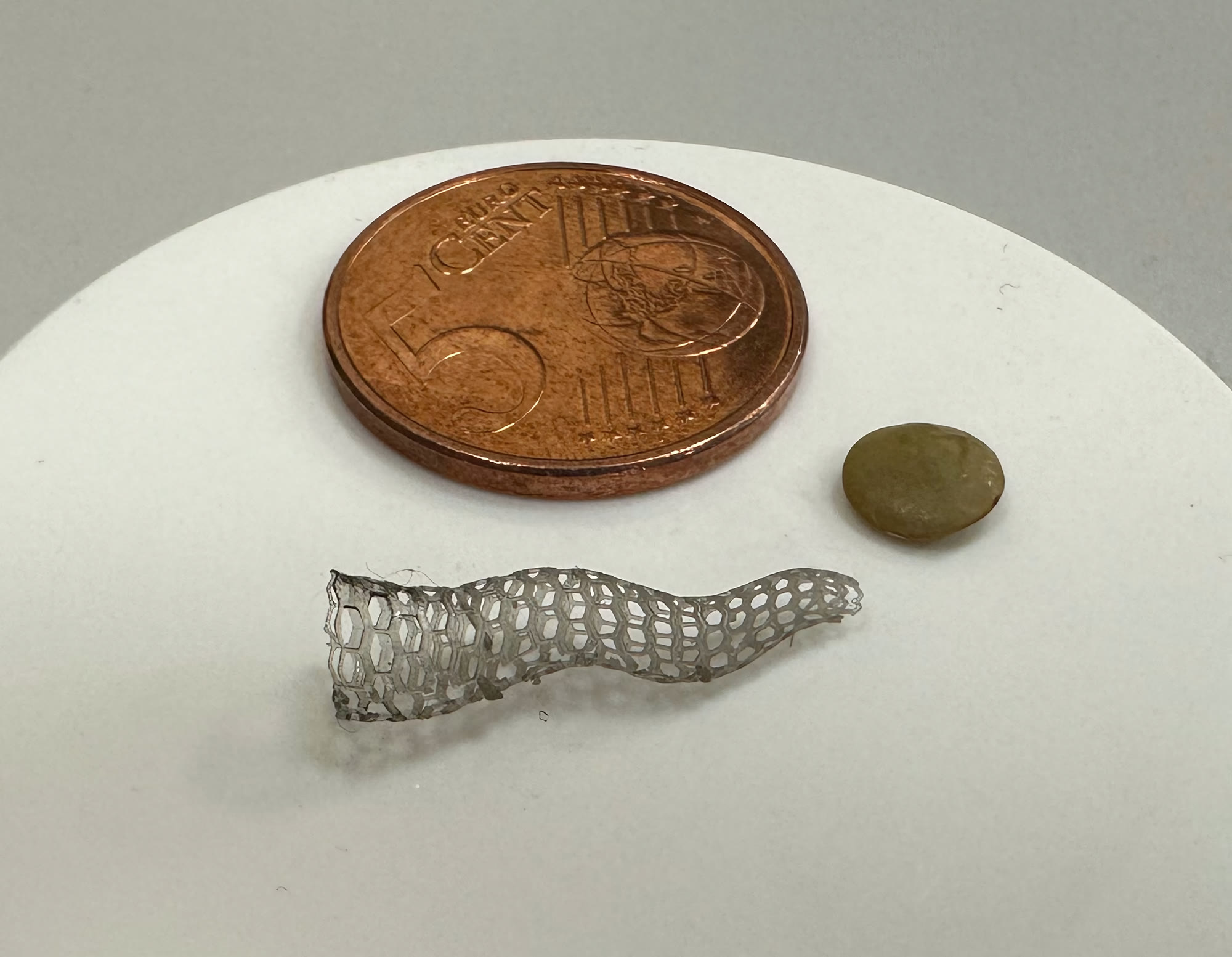 3D-printed auxetic stent — 5-cent coin for scale
